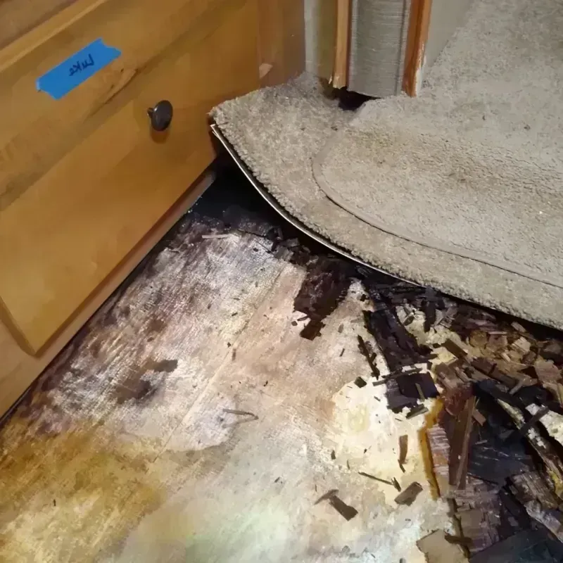 Best Wood Floor Water Damage Service in Bedford, NY